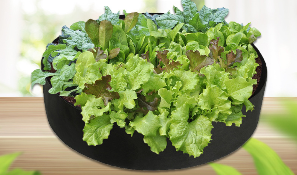 Siopsrl| Round Plant Growth Bag – Garden Container for Easy Plant Growth