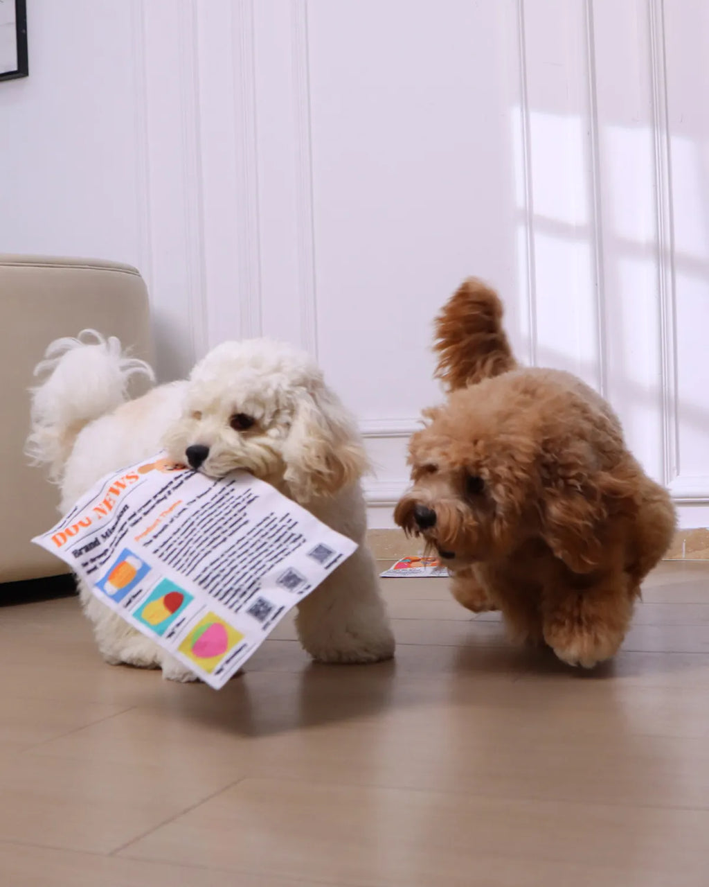 Newspaper Interactive Crinkle Dog Toy for Boredom Relief