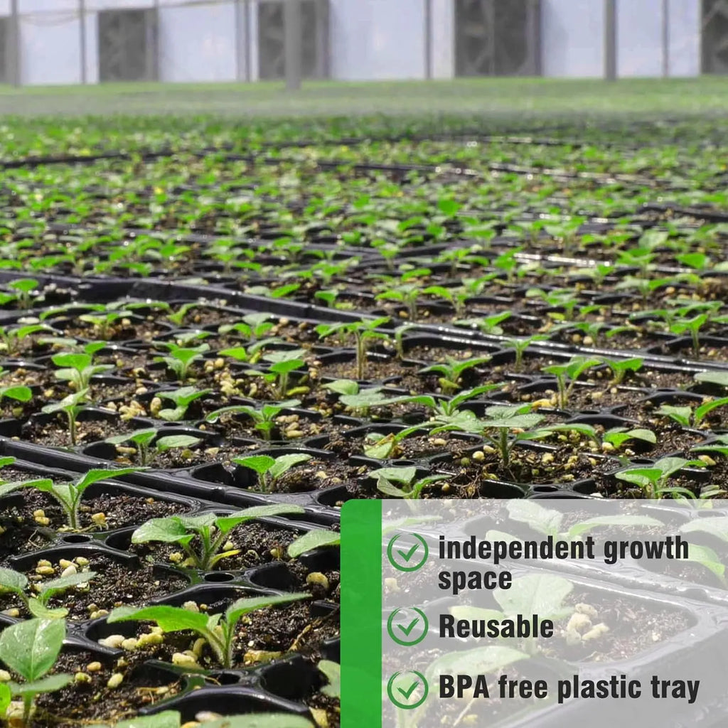 Siopsrl| Rectangular Plant Bowl – Seedling Tray for Efficient Germination and Growth of Seedlings