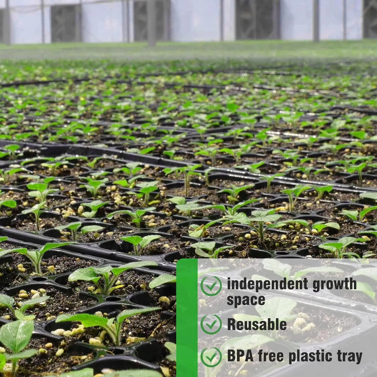 Siopsrl| Rectangular Plant Bowl – Seedling Tray for Efficient Germination and Growth of Seedlings