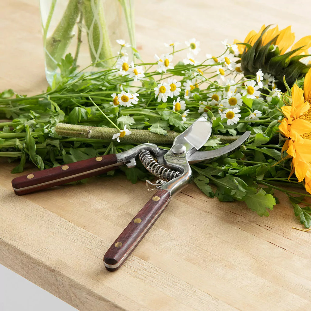 Siopsrl Thai Kitchen Garden Shears