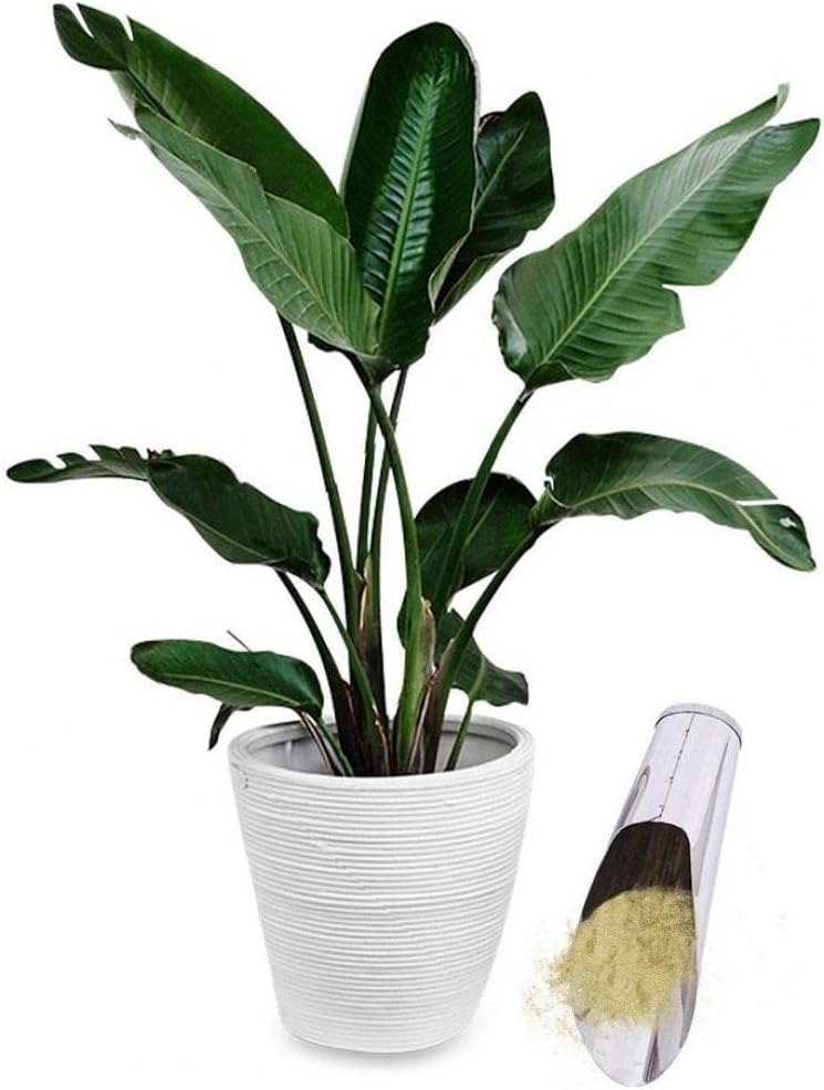 Siopsrl| Stainless Steel Scoop for Potting Soil – Robust Planting Scoop for Garden and Balcony