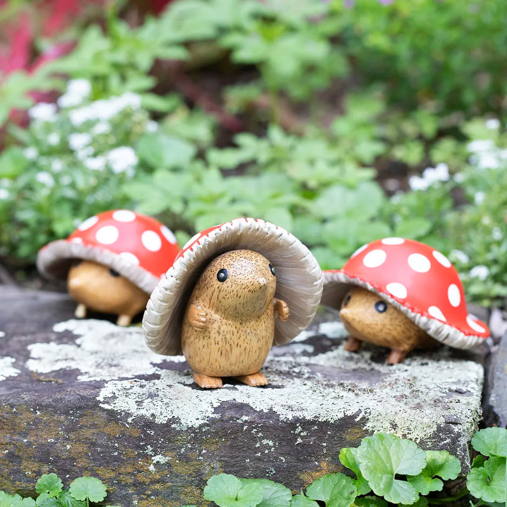 Siopsrl Mushroom Garden Hedgie