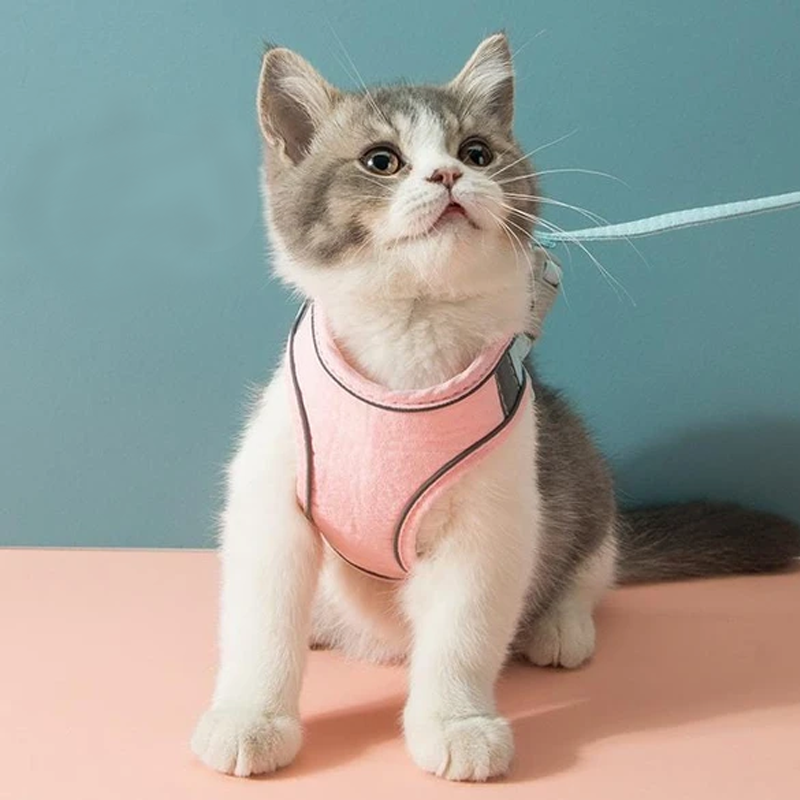 Siopsrl| Cat Vest Harness and Leash Set