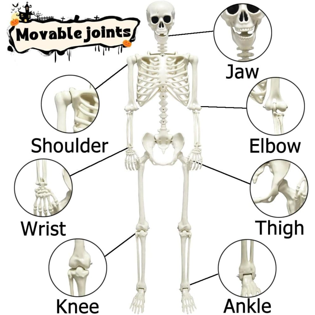 Full Body Skeleton Halloween Decoration – Scares Guaranteed, Fun for All Siopsrl