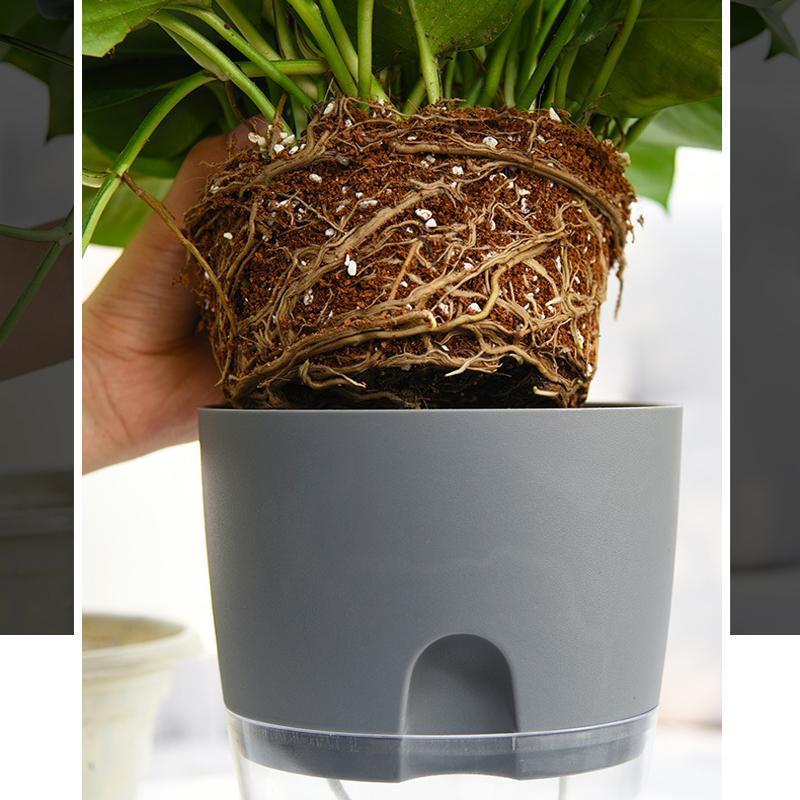 Siopsrl| Self-watering Hydro-Flower Pot