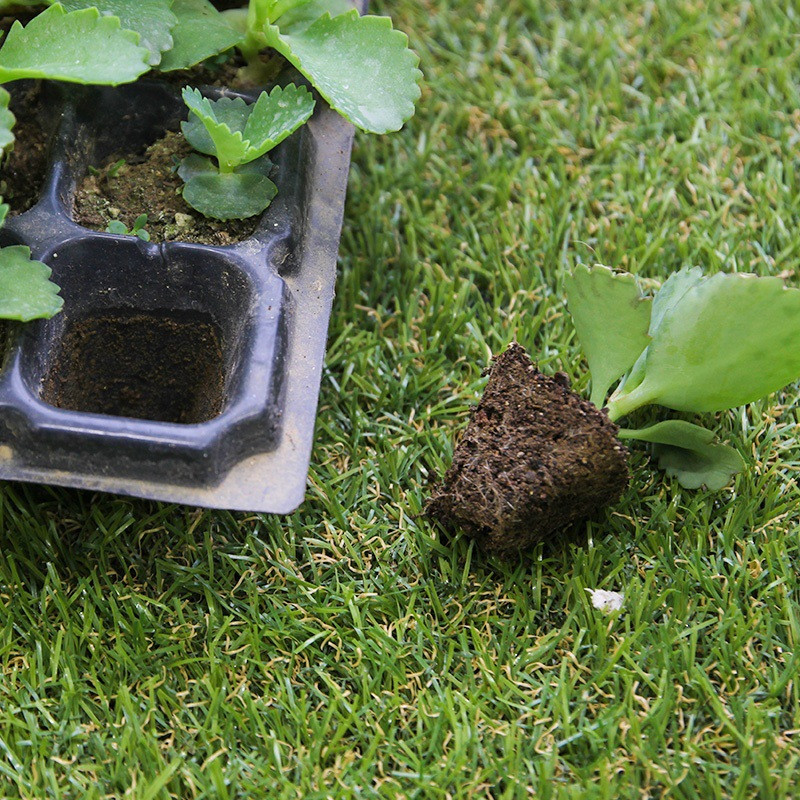 Siopsrl| Rectangular Plant Bowl – Seedling Tray for Efficient Germination and Growth of Seedlings