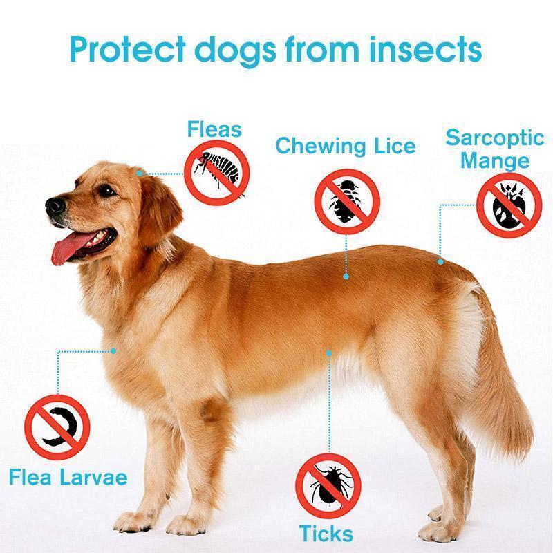 Siopsrl| Adjustable Insect Defense Collar for Pets