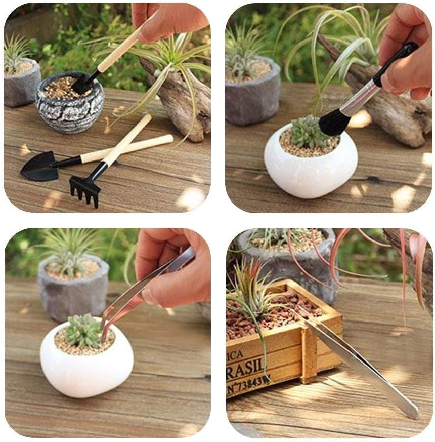 Siopsrl| Succulent Garden Tool Set with Spray Bottle and Accessories