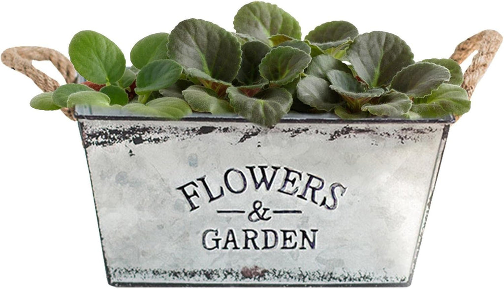 Siopsrl| Decorative flower and garden container made of metal with hemp rope handles