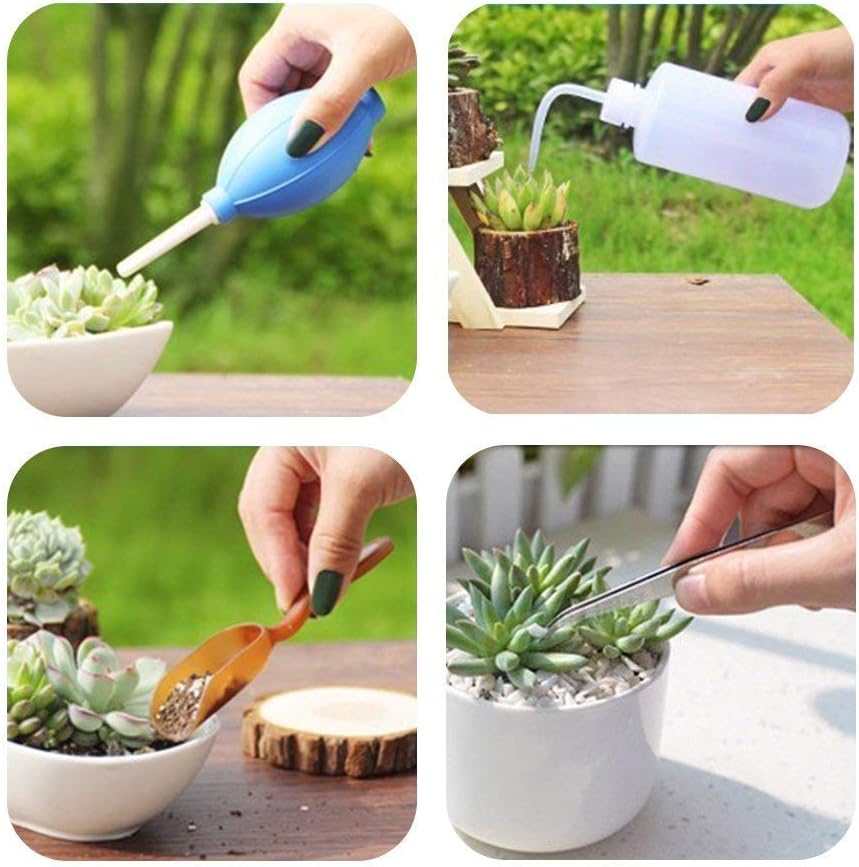 Siopsrl| Succulent Garden Tool Set with Spray Bottle and Accessories