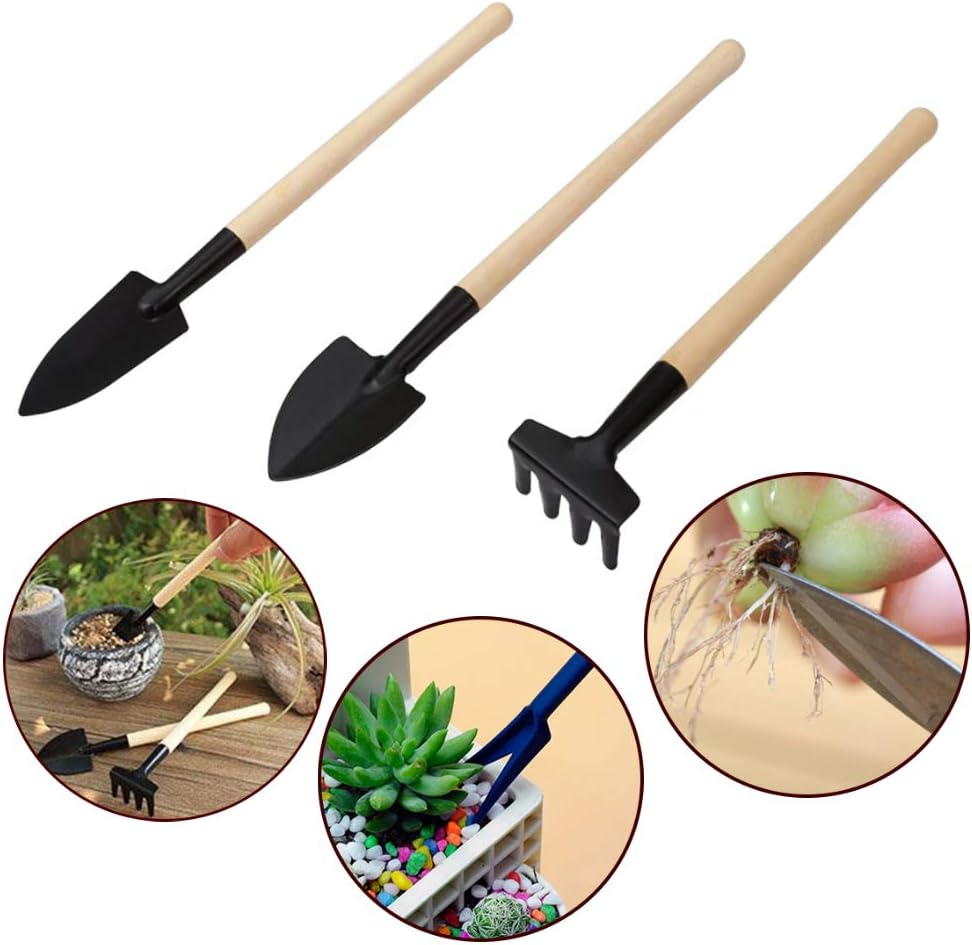 Siopsrl| Succulent Garden Tool Set with Spray Bottle and Accessories