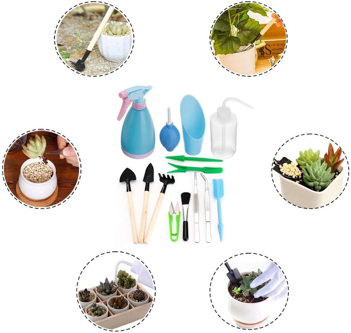 Siopsrl| Succulent Garden Tool Set with Spray Bottle and Accessories