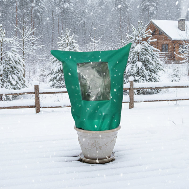 Siopsrl| CozyPlant – Protect your plants from winter cold and help them thrive