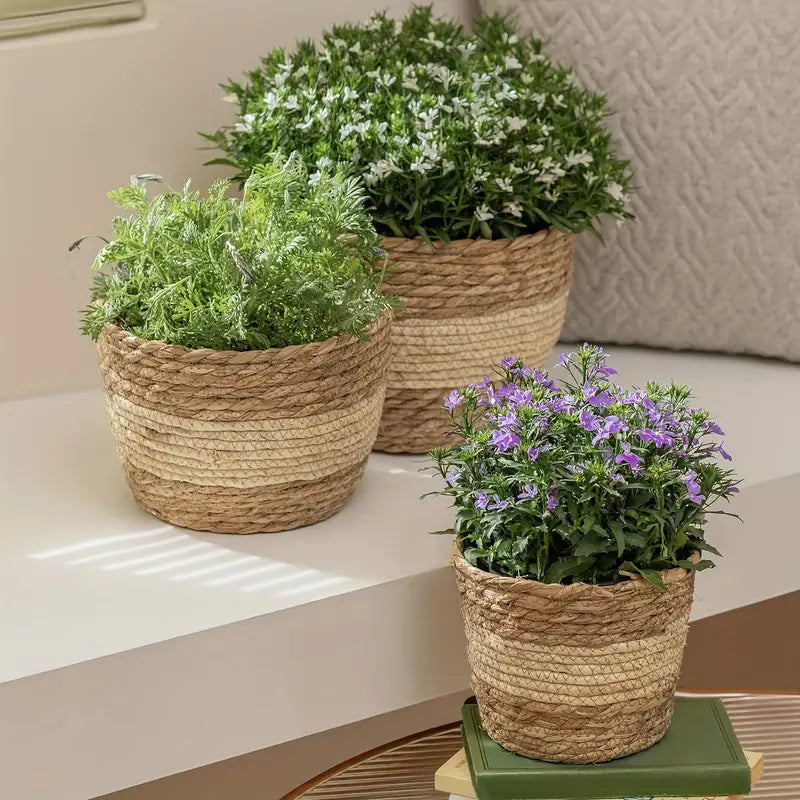 Siopsrl| Decorative plant baskets made of seagrass in a set of 3 – Handwoven flower pots with foil insert