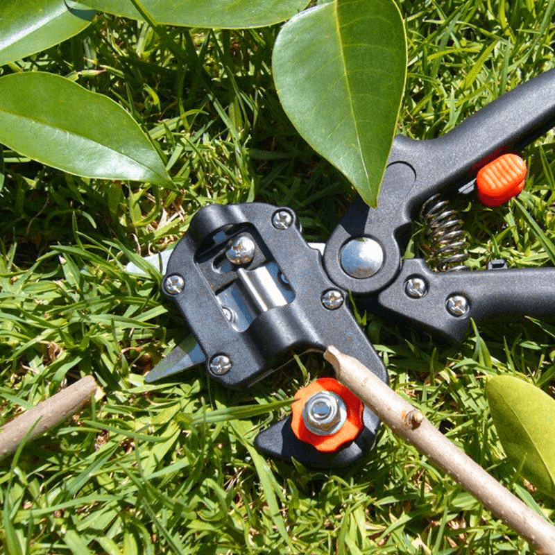 Siopsrl| Professional Garden Grafting Tool Set