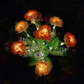 Siopsrl| Modern Outdoor Solar Lighting with 7 Flowers