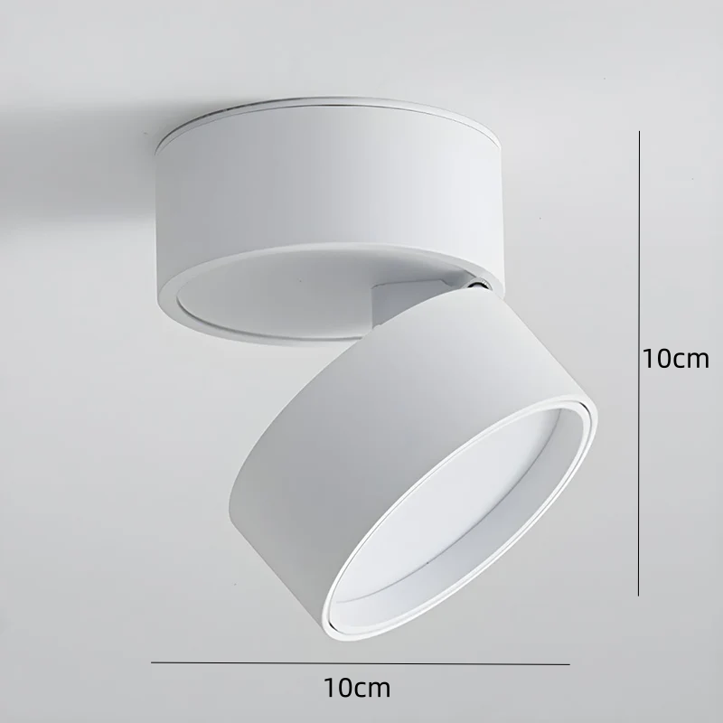 Siopsrl| LED Ceiling Light with Adjustable Spotlight Head