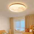 Siopsrl| Nordic Minimalist Moon Acrylic LED Mount Ceiling Light
