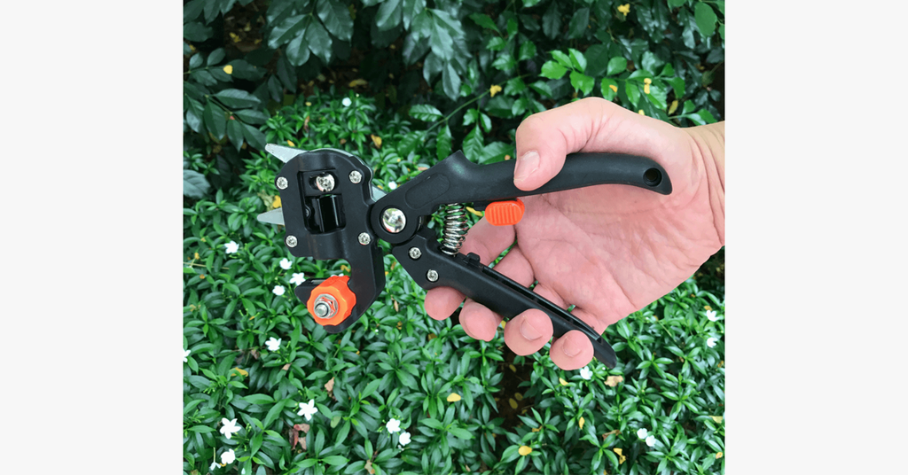 Siopsrl| Nifty Gardener's Graft – Improve Your Gardening Skills!