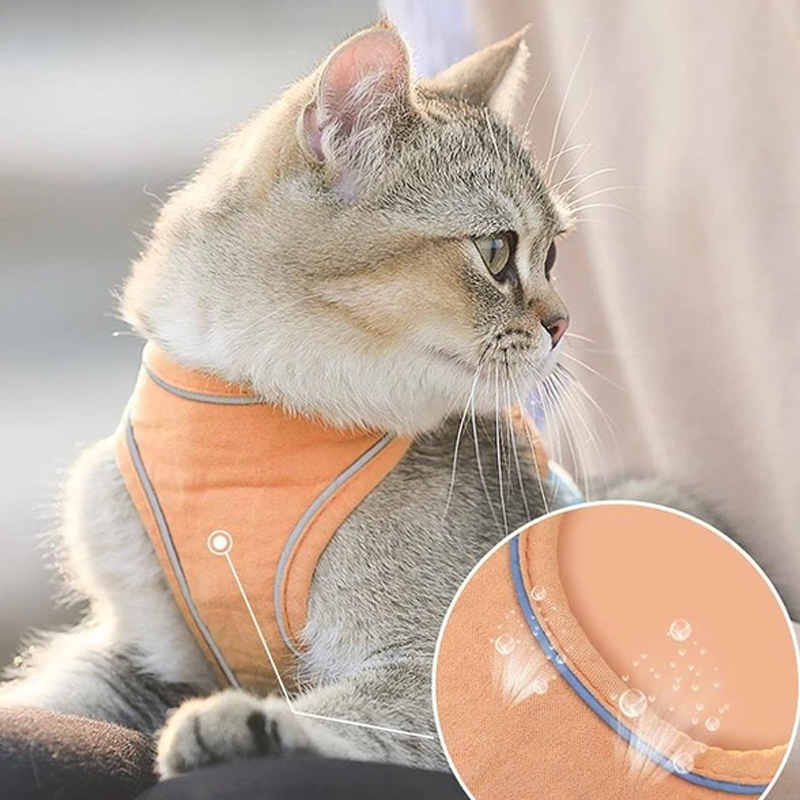 Siopsrl| Cat Vest Harness and Leash Set