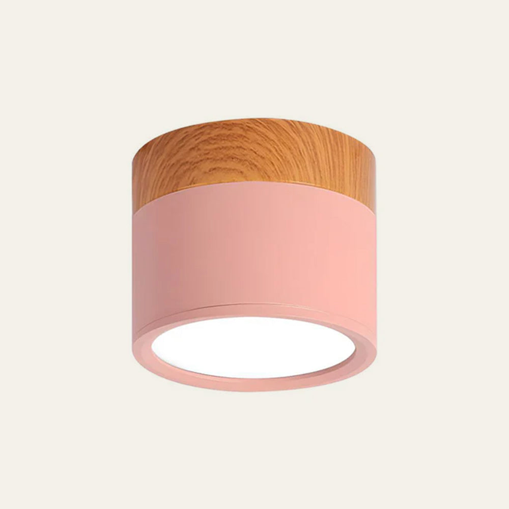 Siopsrl| LED Ceiling Light Modern Flush Mount Cylinder