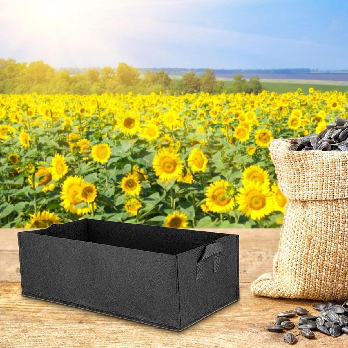Siopsrl| Foldable storage box made of felt for plants with handles