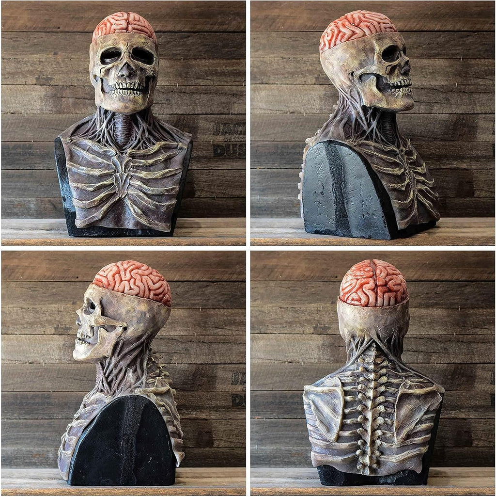 Siopsrl| Halloween Skull Mask with Brain Detail