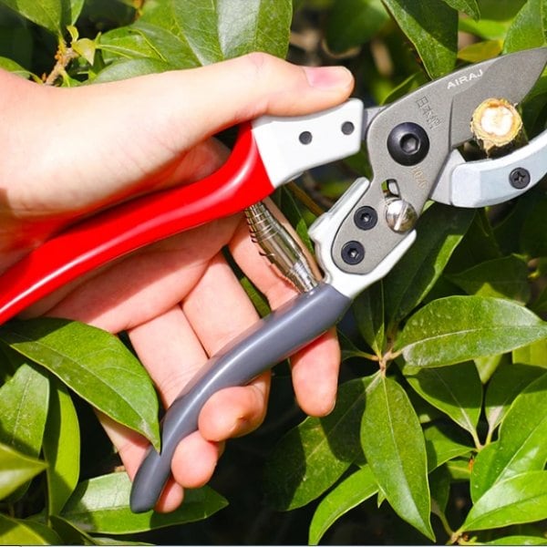 Siopsrl| TrimTough – Precise cuts, strong blades!