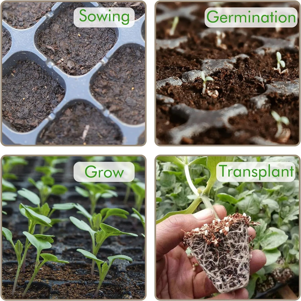 Siopsrl| Rectangular Plant Bowl – Seedling Tray for Efficient Germination and Growth of Seedlings
