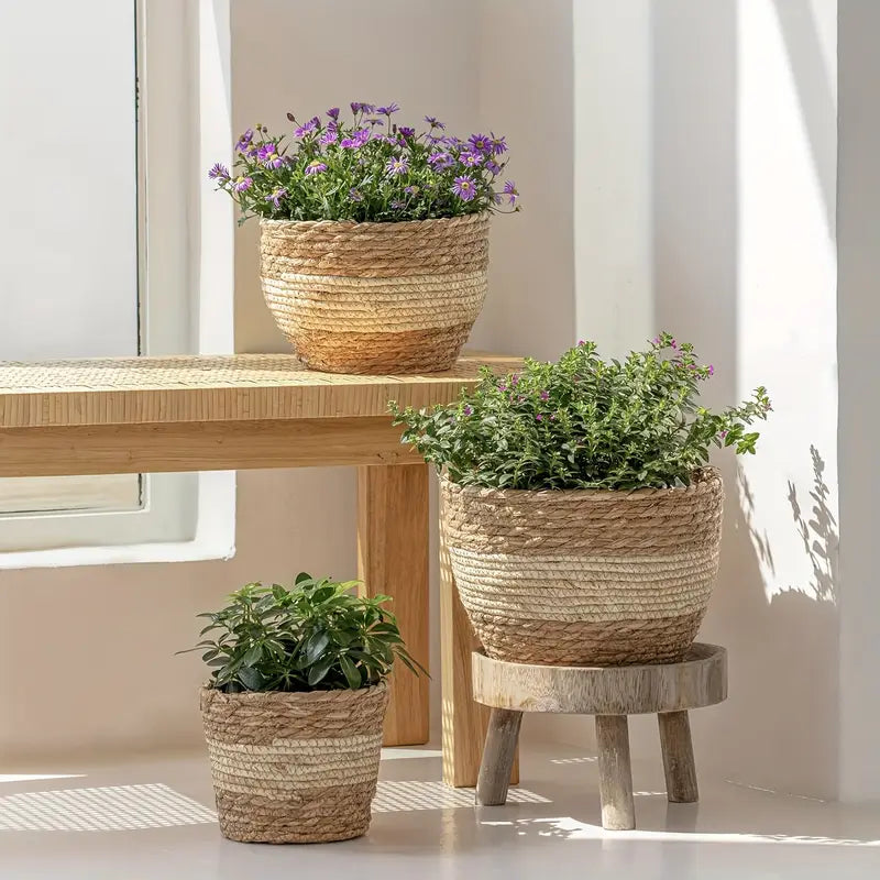 Siopsrl| Decorative plant baskets made of seagrass in a set of 3 – Handwoven flower pots with foil insert