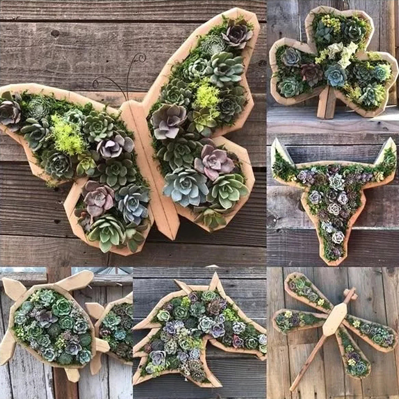 Animal Succulent Garden Arrangement | Siopsrl