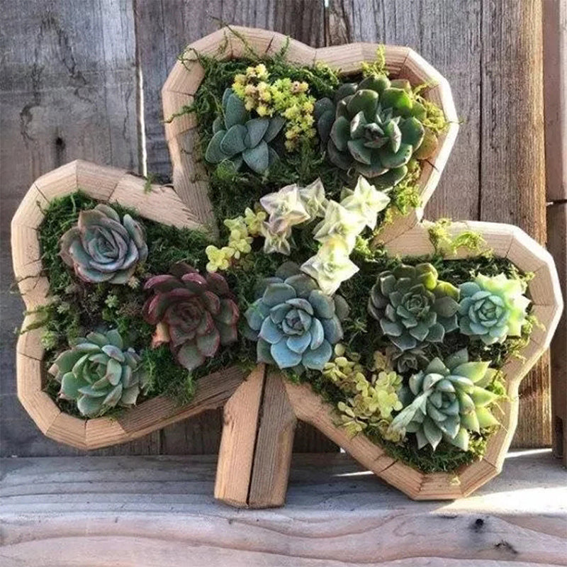 Animal Succulent Garden Arrangement | Siopsrl