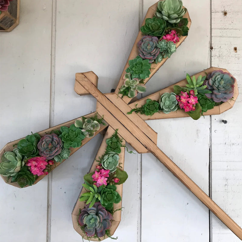 Animal Succulent Garden Arrangement | Siopsrl