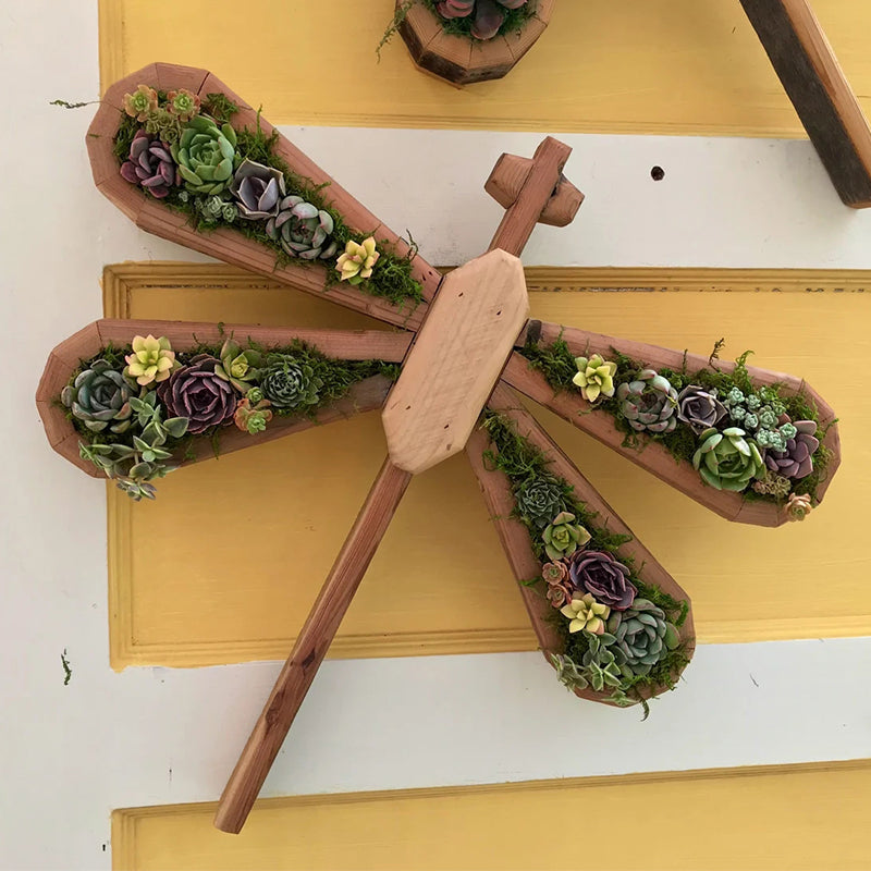 Animal Succulent Garden Arrangement | Siopsrl