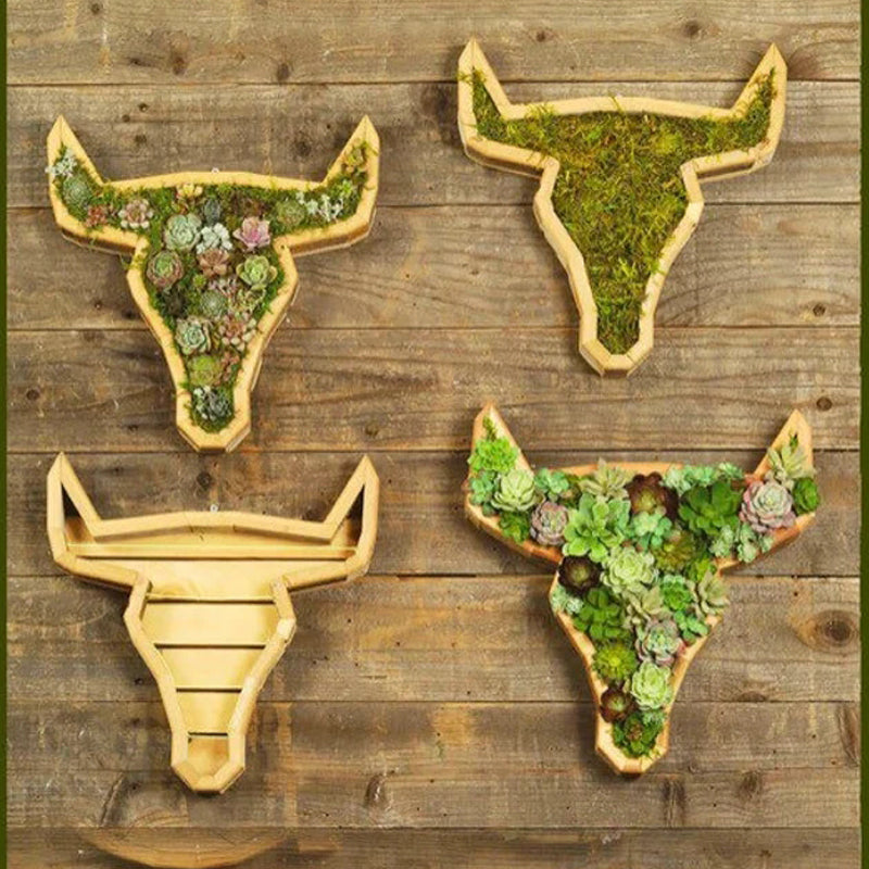Animal Succulent Garden Arrangement | Siopsrl