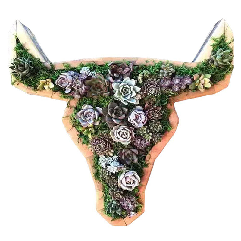 Animal Succulent Garden Arrangement | Siopsrl
