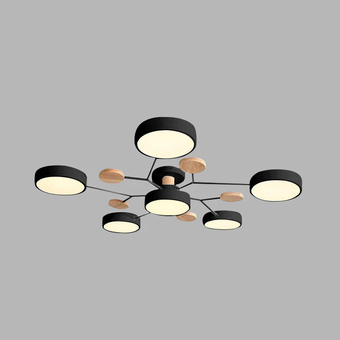 Siopsrl| Ceiling Light Modern LED Flush Mount Chandelier