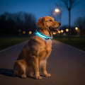 Siopsrl| LED Safety Dog Collar with Adjustable Fit