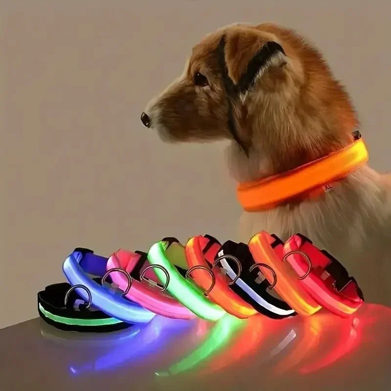 Siopsrl| LED Safety Dog Collar with Adjustable Fit