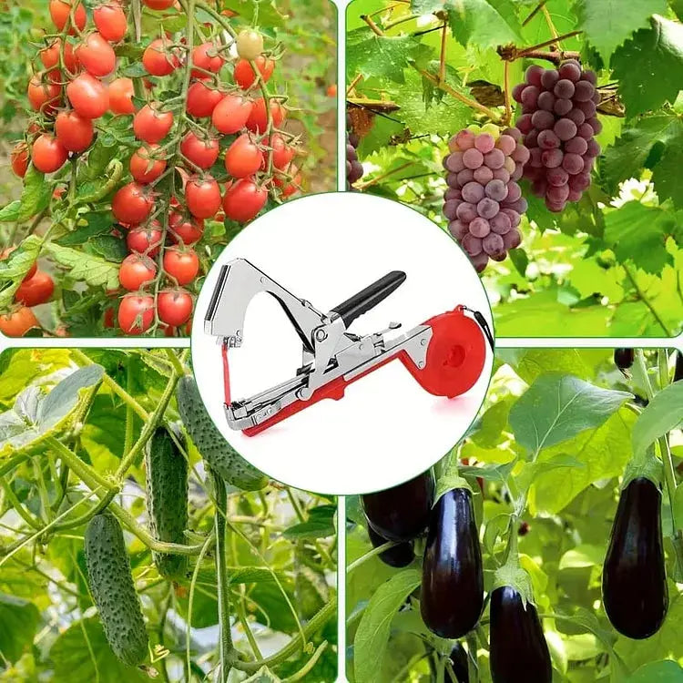 Siopsrl| Garden Plant Tying Tool Set | 10 Rolls of Tape and 10,000 Staples