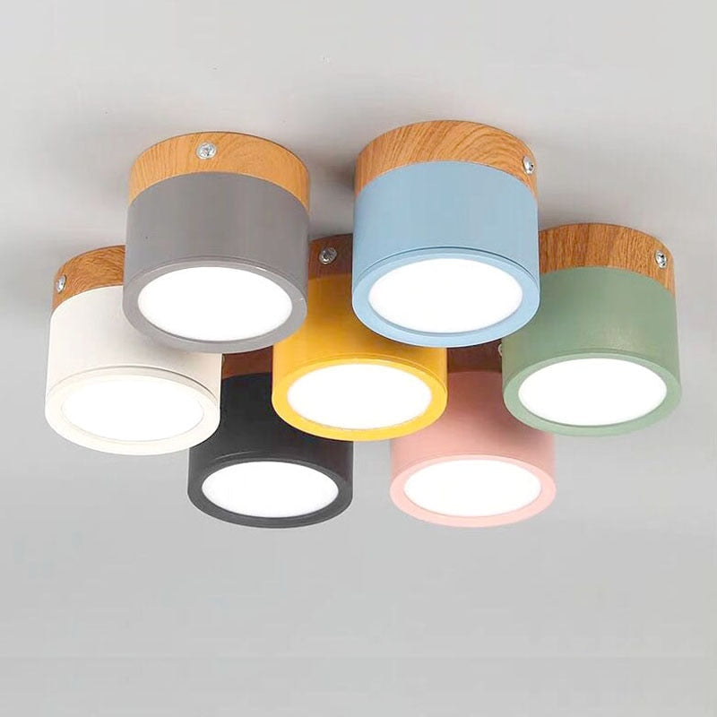 Siopsrl| LED Ceiling Light Modern Flush Mount Cylinder