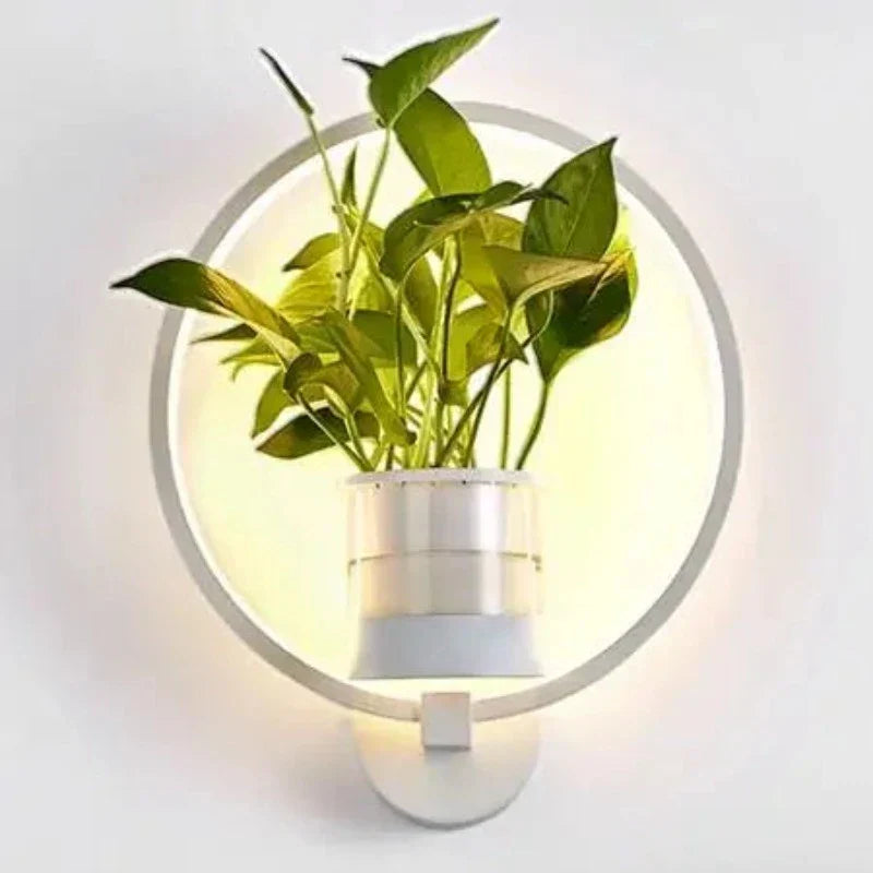 Siopsrl| Wall Light with Glass Plant Holder