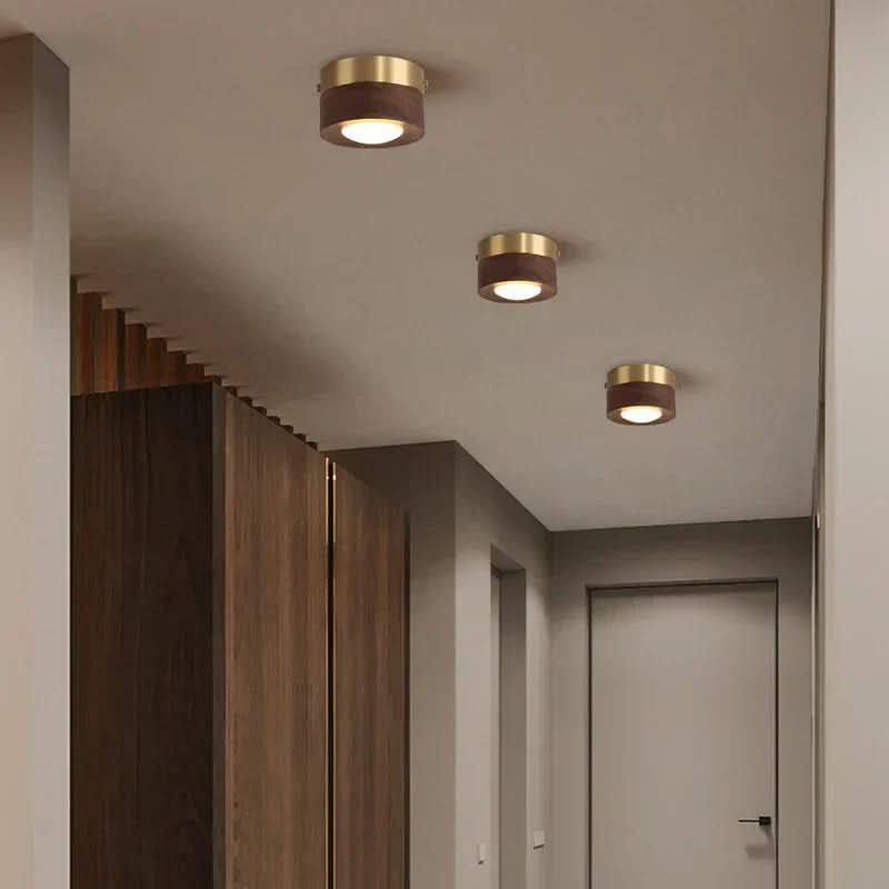 Siopsrl| Energy-saving Walnut Light Solution