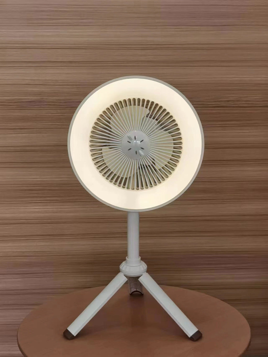Hanging LED Pendant Light Siopsrl