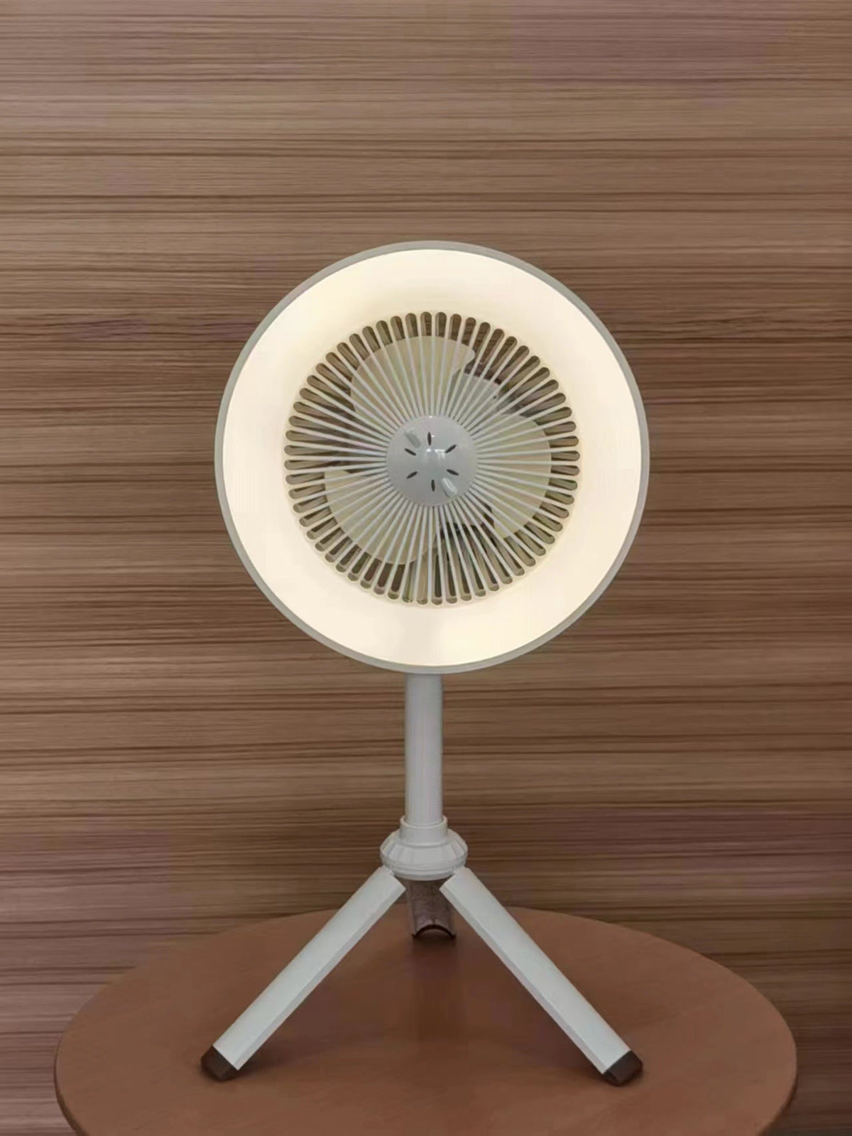 Hanging LED Pendant Light Siopsrl