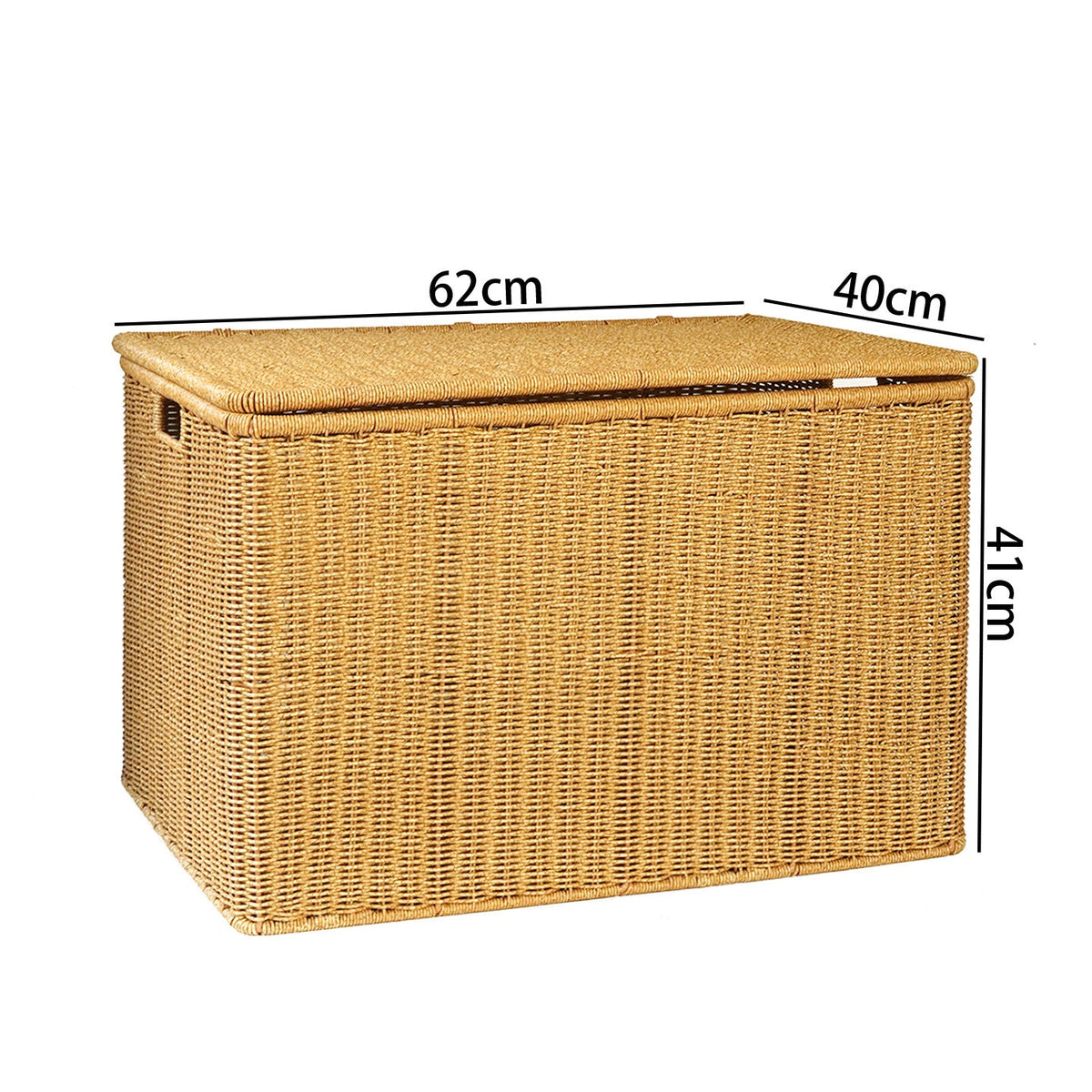 Large Woven Storage Chest Siopsrl
