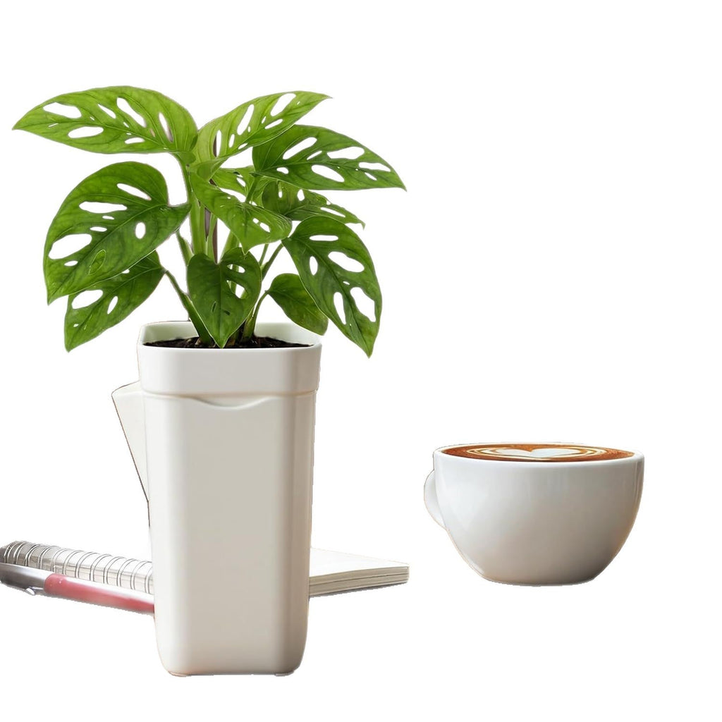 Self-Watering Planter Siopsrl