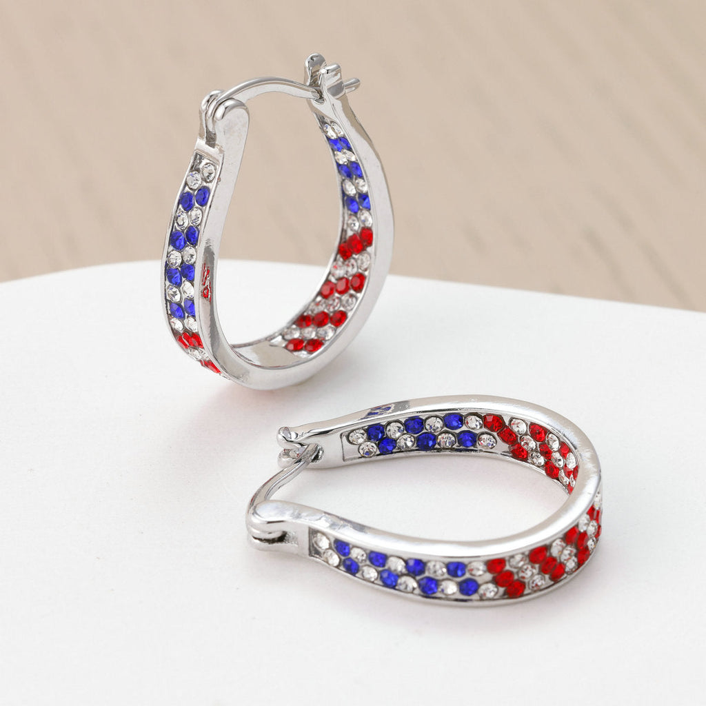 Siopsrl | Women's Pavé Hoop Earrings with Crystal Decoration and Hinge Closure Siopsrl