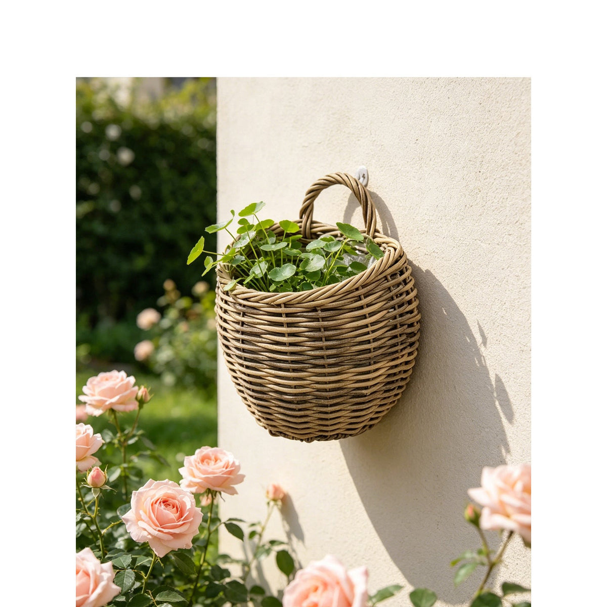Presentation basket Siopsrl